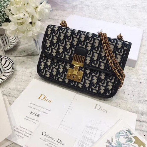 Dior Bag 049